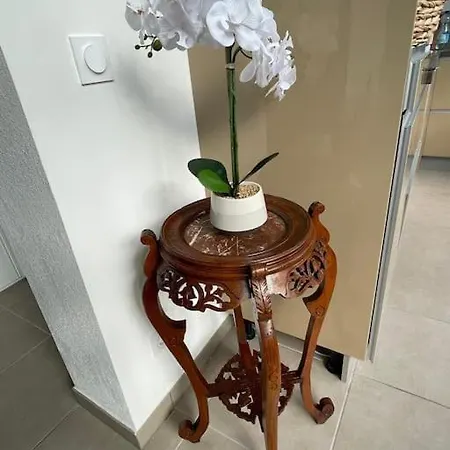 Apartamento La Veranda De La Mouette *